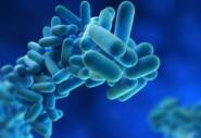 PTSG conducts legionella risk assessments across all industry sectors.