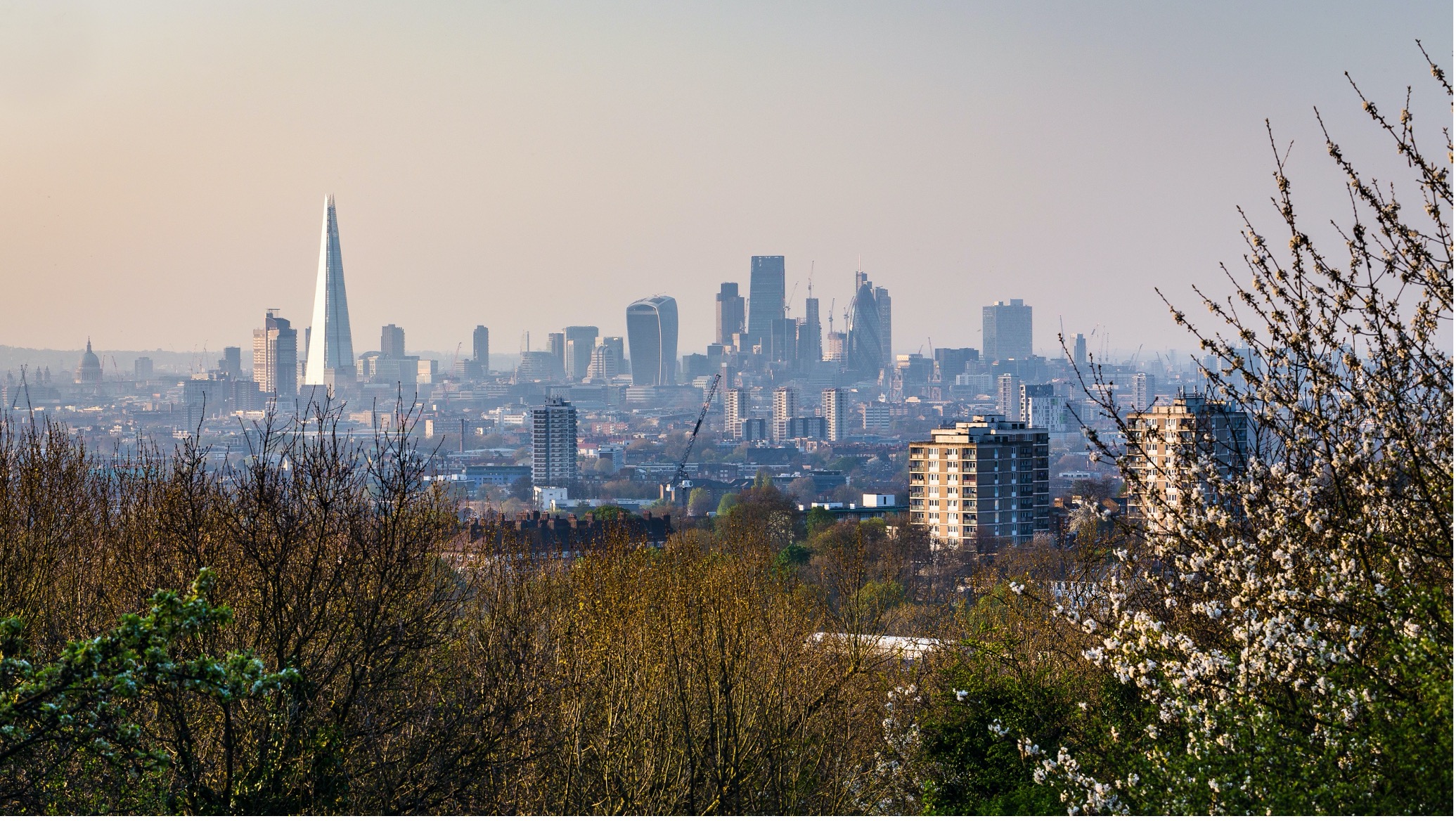 PTSG safeguards properties in South-East London 