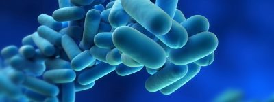 Legionella risk assessment